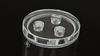Replacement Signature Reservoir Top Caps